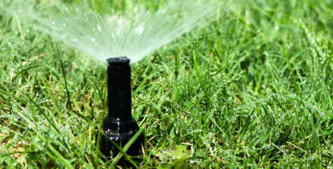 Sprinkler system watering a fresh-cut lawn.